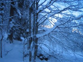 Skihütte2009Sash 061.jpg